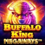 buffalo king megaways review