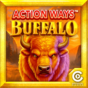 Action Ways Buffalo
