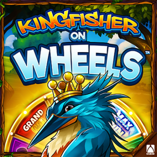 Kingfisher on Wheels